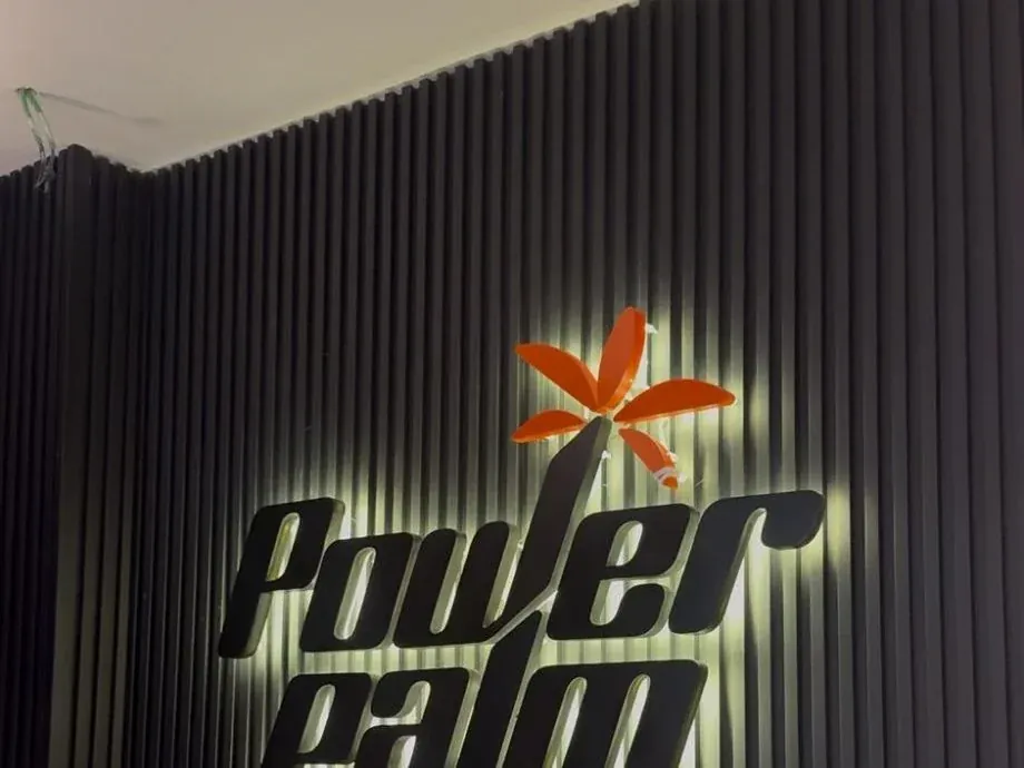לוגו עם תאורה אחורית — Power Palm